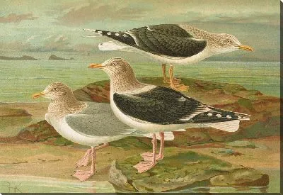 Картина Распускающийся листочек (2)