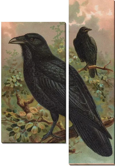 Картина Ворон