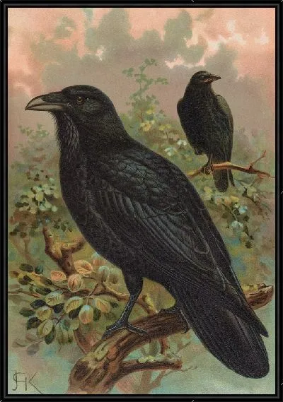 Картина Ворон