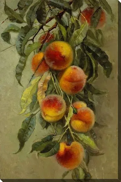 Картина Персики (Peaches) №2