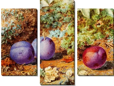 Картина Натюрморт (Still-life) №41