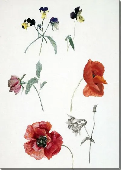 Картина Блюмен