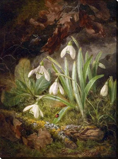 Картина Кусок лесной подстилки с подснежниками