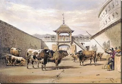 Картина Быки в загоне на площади (1860-1870)