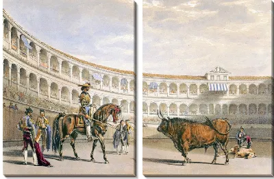 Картина Пикадор бросает вызов быку (1860-1870)