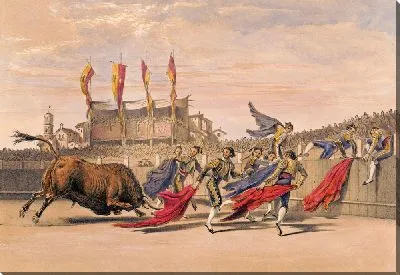 Чулос, играющий с быком (1860-1870)