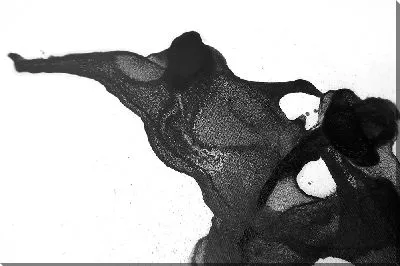 Картина маслом Алкогольные чернила №4