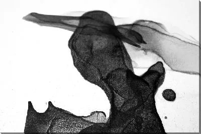 Алкогольные чернила №8