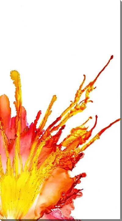 Постер Алкогольные чернила №33