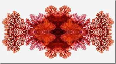 Картина маслом Алкогольные чернила №51