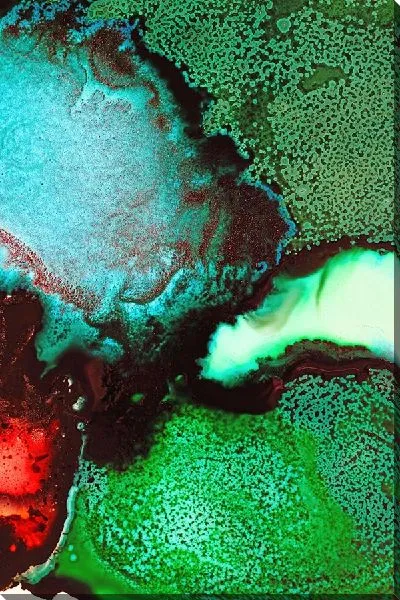 Постер Алкогольные чернила №52