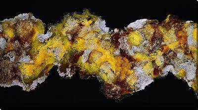 Картина маслом Алкогольные чернила №55