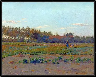 Поле Кокеликот (1884)