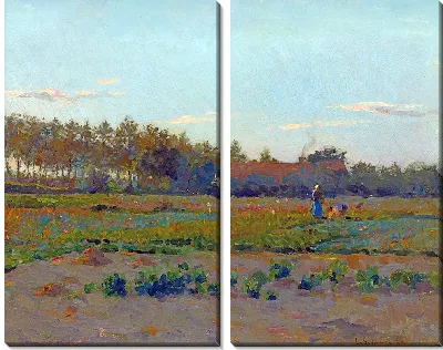 Поле Кокеликот (1884)