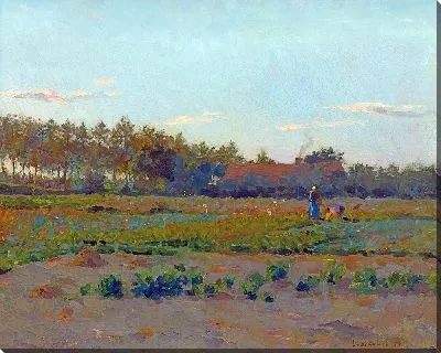 Картина Поле Кокеликот (1884)