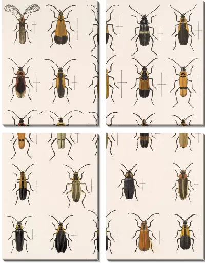 Картина Жуки (1879-1915) №161