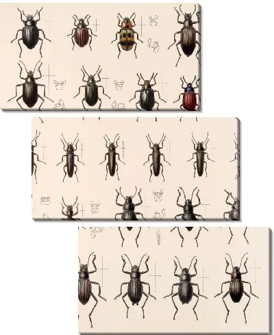 Картина Жуки (1879-1915) №180