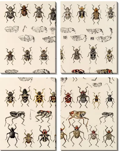 Картина Жуки (1879-1915) №321