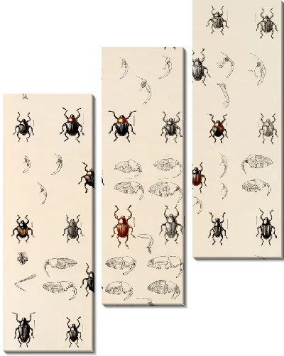 Картина Жуки (1879-1915) №331