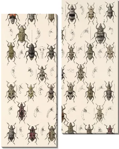 Картина Жуки (1879-1915) №347