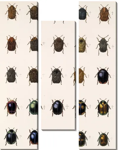 Картина Жуки (1879-1915) №381