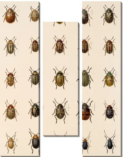 Картина Жуки (1879-1915) №417