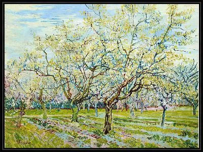 Картина Белый сад