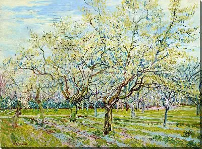 Картина Белый сад