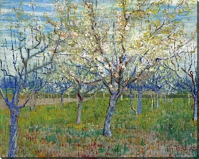 Картина Розовый сад