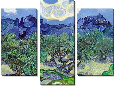 Оливковые деревья