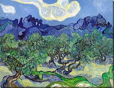 Оливковые деревья