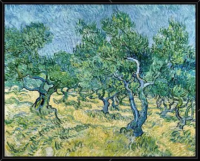 Оливковая роща