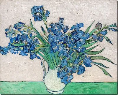 Картина Ирисы в белой вазе