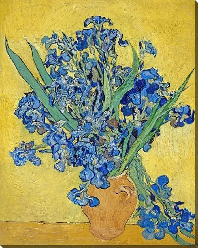 Картина Ирисы 2