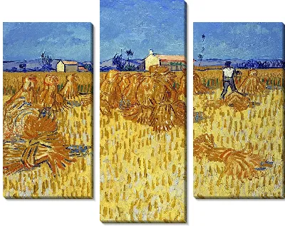 Картина Сбор кукурузы в Провансе