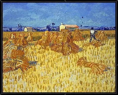 Картина Сбор кукурузы в Провансе