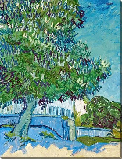 Картина Цветущие каштаны