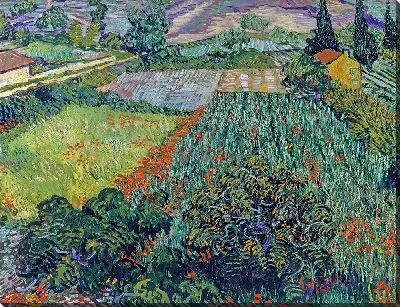 Картина Поле с маками