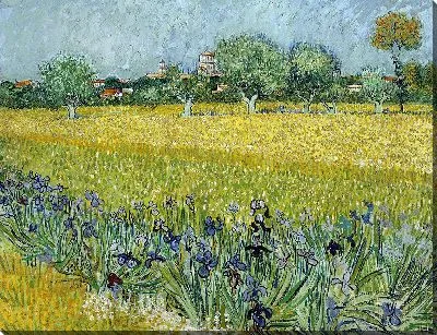 Картина Поле с цветами близ Арля