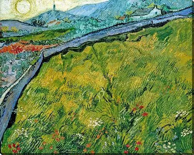 Картина Огороженное пшеничное поле с восходящим солнцем