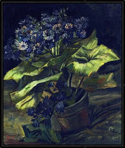 Картина Цинерария