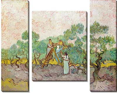 Картина Женщины собирают оливки