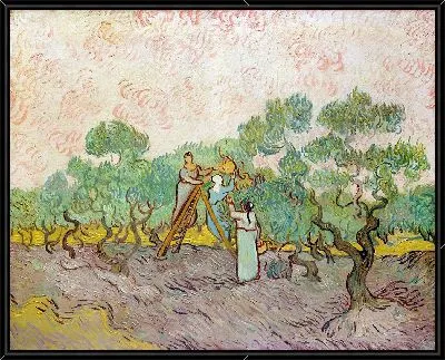 Картина Женщины собирают оливки