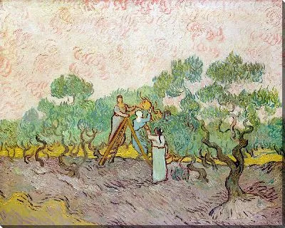 Картина Женщины собирают оливки
