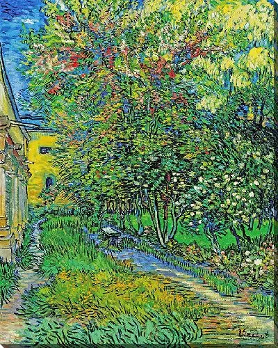 Картина Сад приюта в Сен-Реми