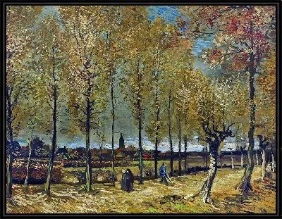 Тополя возле Нюэнена