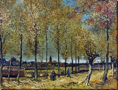 Тополя возле Нюэнена