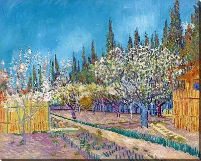Фруктовый сад, окаймленный кипарисами