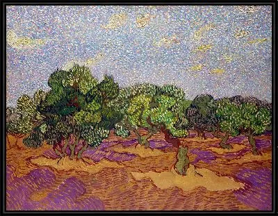 Картина Оливковые деревья 4