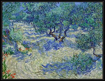 Оливковый сад 3